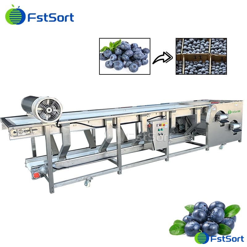 images/1760413150862blueberry processing line.jpg